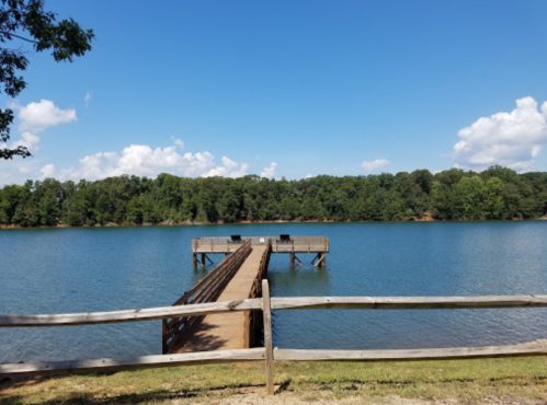 A wooden dock extends into a calm lake, surrounded by green trees and a clear blue sky with fluffy clouds.