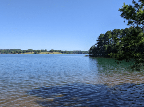 A serene lake scene with clear blue water, green trees along the shore, and a bright blue sky.