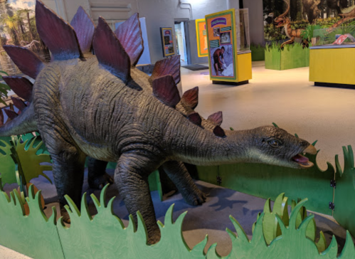 A life-sized model of a Stegosaurus in a museum exhibit, surrounded by green grass and colorful displays.