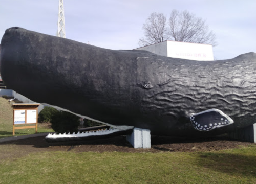 A large, black whale sculpture displayed outdoors, with grass and trees in the background.