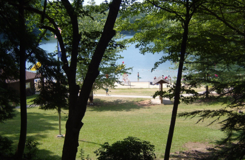 A serene lakeside view framed by trees, with people enjoying the beach and water in the background.
