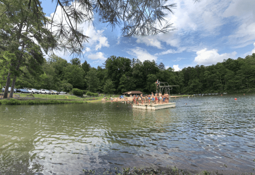 A group of people on a floating platform in a lake, surrounded by trees and a clear blue sky.