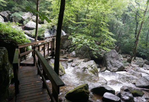 A wooden bridge crosses a rocky stream surrounded by lush green trees and boulders in a serene forest setting.