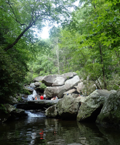 A serene forest scene with a stream, large rocks, and people enjoying nature among lush greenery.
