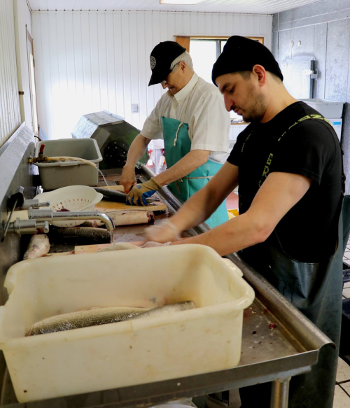 Two men filleting fish in a clean, well-lit workspace, with tools and a large container for fish parts.