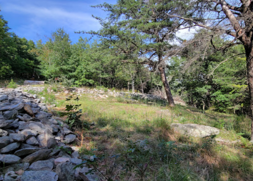 A rocky area surrounded by trees and greenery under a clear blue sky.