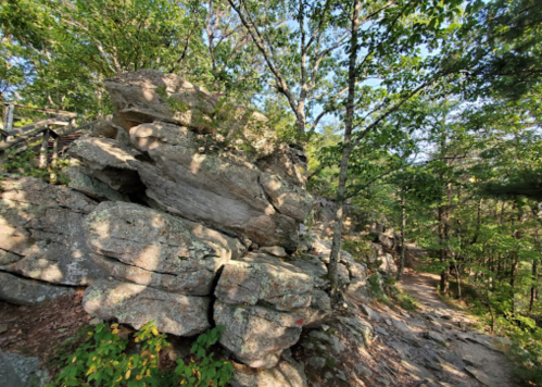 A rocky outcrop surrounded by trees on a sunny day, with a path visible in the background.