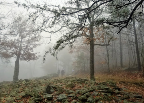A foggy forest path with trees and rocks, two figures walking in the distance.