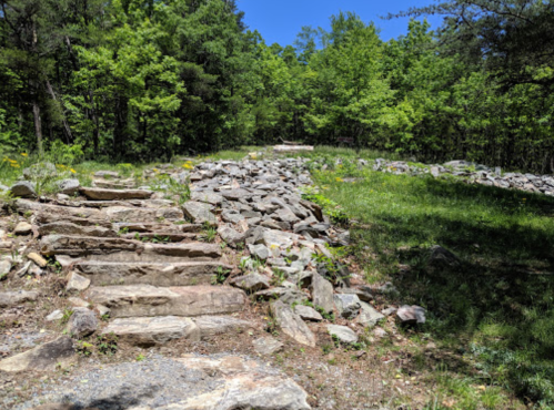 A rocky path leads through lush greenery and trees under a clear blue sky.