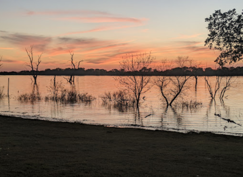 A serene sunset over a flooded lake, with silhouetted trees reflecting on the water's surface.