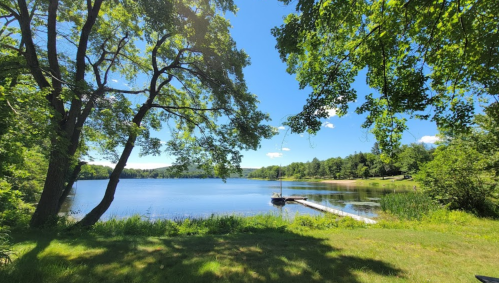 A serene lake surrounded by lush greenery and trees, with a boat gliding across the water under a clear blue sky.