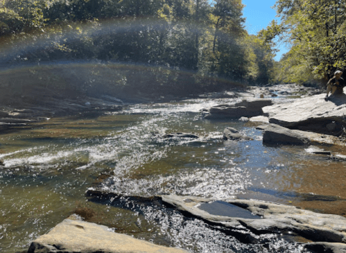 A serene river flows over rocks, surrounded by trees under a clear blue sky, with sunlight sparkling on the water.