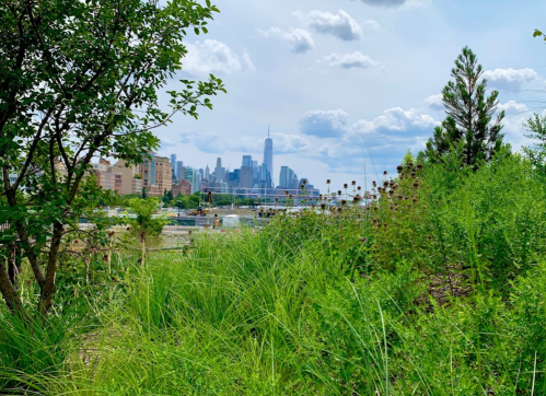 A lush green landscape with tall grass and wildflowers, framed by trees, overlooking a city skyline under a blue sky.