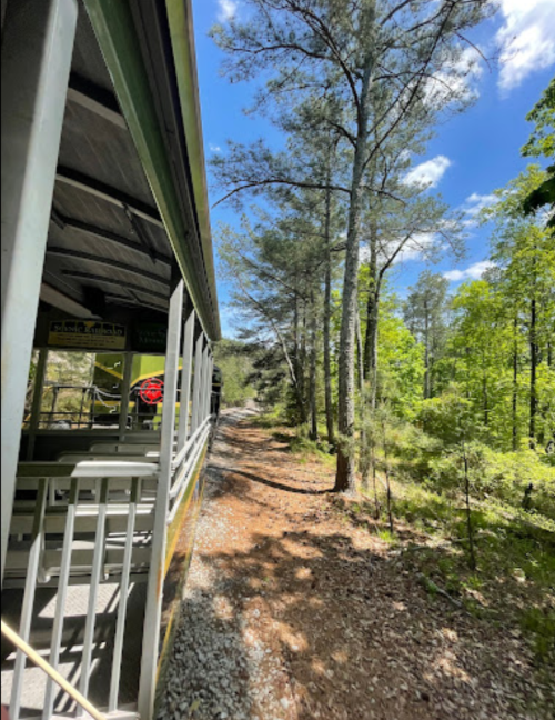 A scenic view of a forest path beside a train car, with tall trees and a bright blue sky in the background.