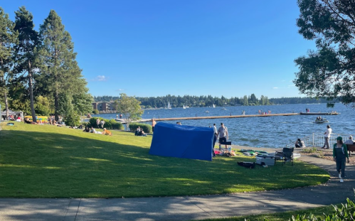 A sunny lakeside scene with people relaxing on the grass, a blue tent, and a dock extending into the water.