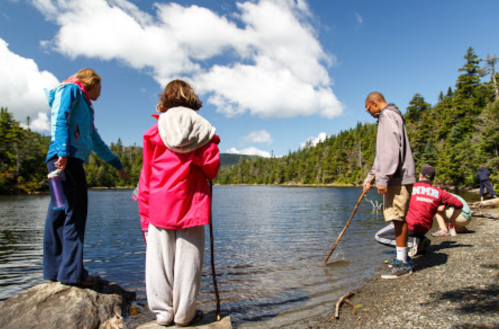 Children explore a serene lake surrounded by trees, with one child wading in the water and others observing from the shore.