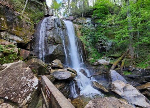 A serene waterfall cascades over rocky cliffs, surrounded by lush green trees in a tranquil forest setting.
