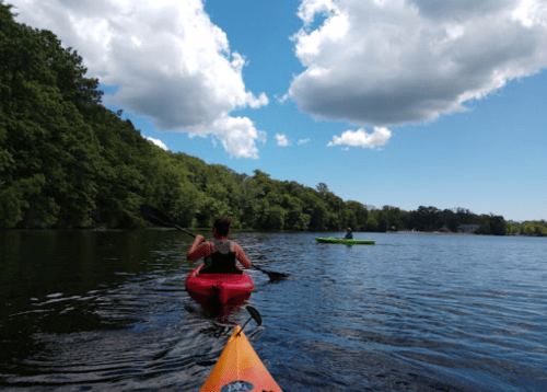 A person kayaking on a calm lake surrounded by lush greenery and blue skies with fluffy clouds.