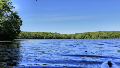 A serene lake surrounded by lush green trees under a clear blue sky. Water reflects the vibrant colors of nature.