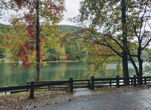 A serene lake surrounded by trees with autumn foliage, reflecting the landscape on a cloudy day.