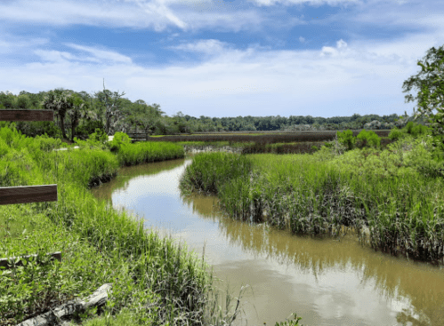 A serene landscape featuring a winding river surrounded by lush green grass and trees under a blue sky.