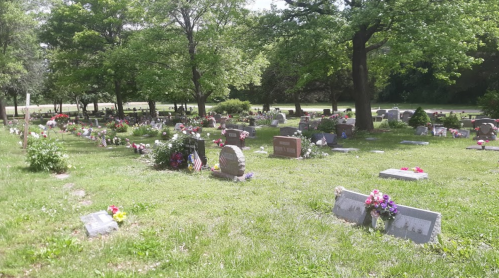 A peaceful cemetery with gravestones and flowers, surrounded by trees and green grass on a sunny day.