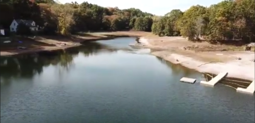 A serene view of a calm lake surrounded by trees, with a sandy shore and a small dock visible.
