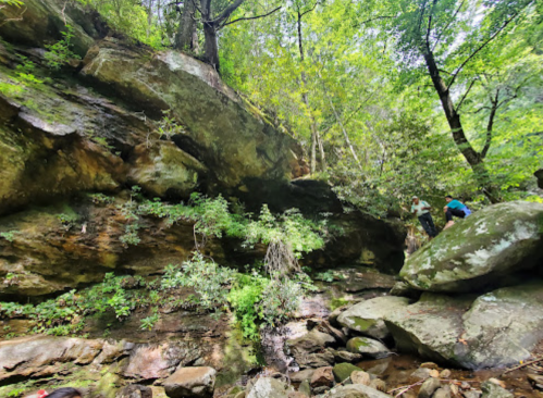 A rocky landscape with lush greenery and two hikers exploring the area. Sunlight filters through the trees.