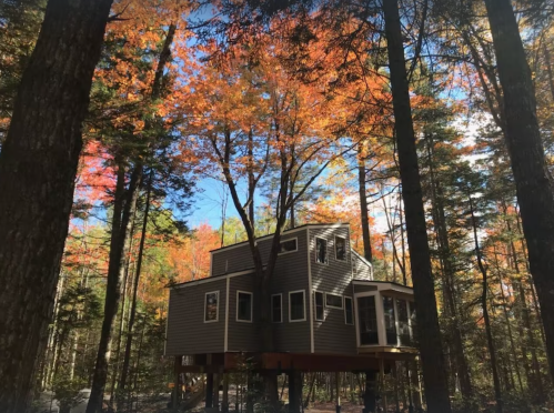 A treehouse surrounded by vibrant autumn foliage and tall trees under a clear blue sky.