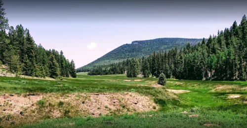 A serene landscape featuring a grassy valley surrounded by dense forests and a distant mountain under a clear sky.