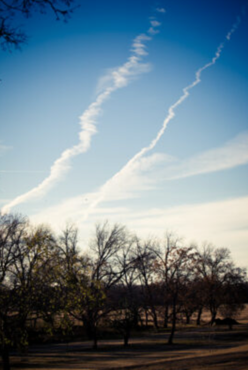 A clear blue sky with wispy clouds and trails, framed by bare trees in the foreground.