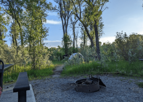 A serene campsite with a fire pit, surrounded by trees and greenery, leading to a tent in the distance.