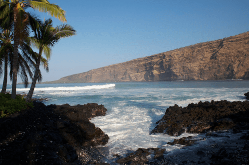 A serene coastal scene with palm trees, rocky shore, and gentle waves lapping against the beach under a clear blue sky.