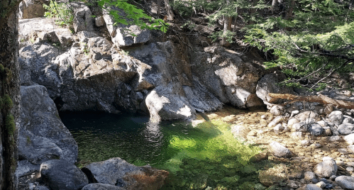 A serene natural pool surrounded by rocks and trees, with clear green water reflecting the sunlight.