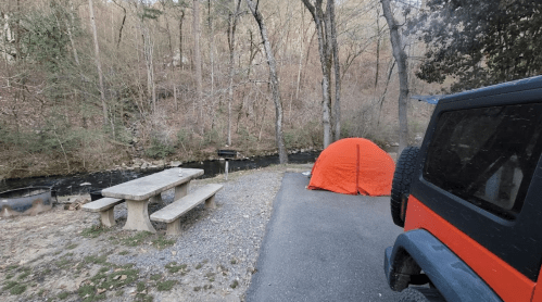 A campsite with an orange tent, picnic table, and a creek surrounded by trees. A vehicle is parked nearby.