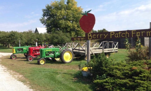 Two vintage tractors parked near a wooden sign for Berry Patch Farm, surrounded by greenery and a clear blue sky.