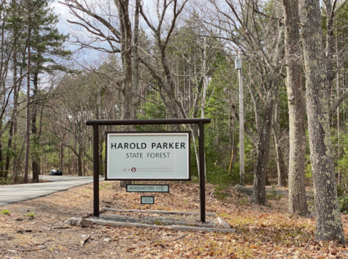 Sign for Harold Parker State Forest, surrounded by trees, with a road visible in the background.