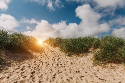 A sandy path through tall grass leads to a bright sunset under a partly cloudy sky.