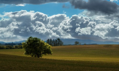 A solitary tree stands in a vast field under a dramatic sky filled with clouds and distant mountains.
