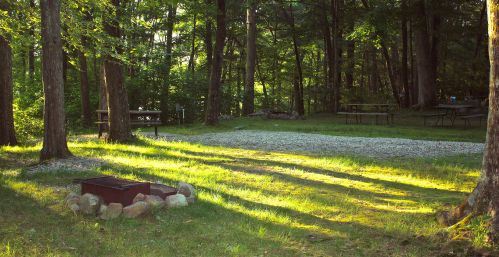 A serene campsite with a fire pit surrounded by trees, grassy areas, and picnic tables in the background.