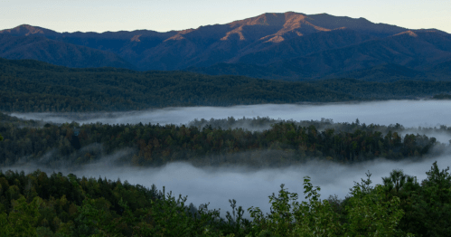 A misty valley surrounded by mountains at dawn, with soft clouds hovering over the treetops.