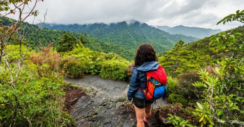 A hike in the Great Smoky Mountains in Tennessee