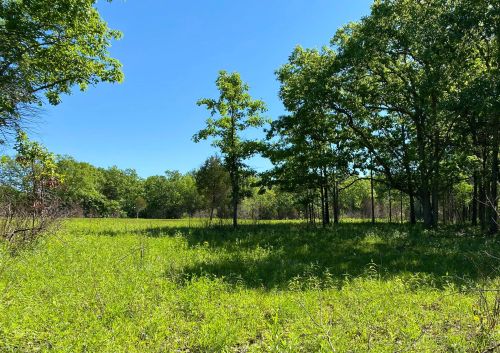 A sunny landscape featuring a grassy field surrounded by trees under a clear blue sky.