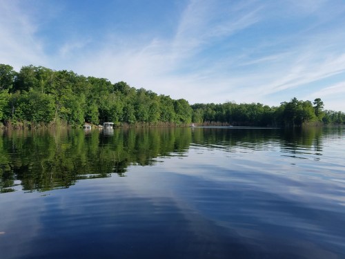 A serene lake surrounded by lush green trees, reflecting the sky and foliage on calm water.