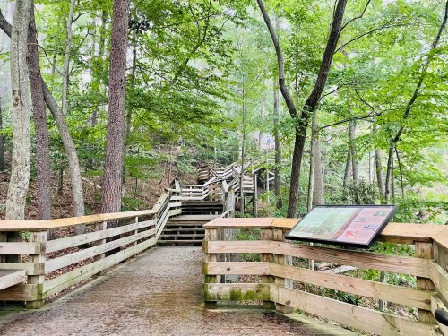 A wooden boardwalk winds through a lush, green forest, with informational signage nearby.
