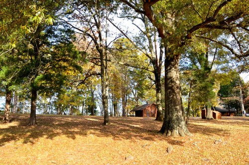 A serene landscape with trees and fallen leaves, featuring rustic buildings in a peaceful outdoor setting.
