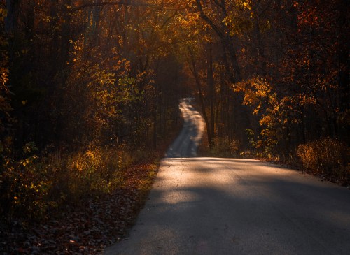 A winding road through a forest, surrounded by vibrant autumn foliage and warm sunlight filtering through the trees.