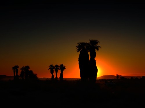 Silhouetted palm trees against a vibrant sunset, with a darkening sky and distant mountains.