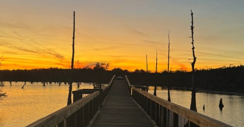 A boardwalk trail at sunset in Louisiana.