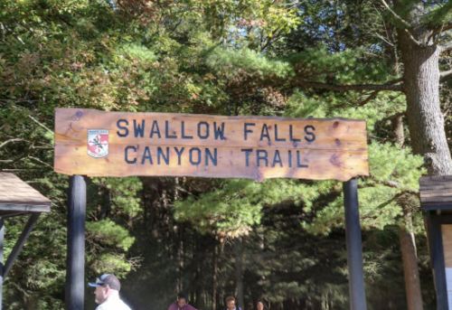 Sign for Swallow Falls Canyon Trail surrounded by trees, with people nearby enjoying the outdoor scenery.